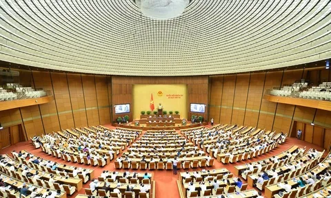 Cho ý kiến về Luật Đất đai sửa đổi tại phiên họp chuyên đề tháng 9