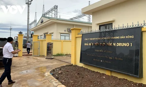 Đánh cược vào điện gió, doanh nghiệp đầu tư chìm trong thua lỗ