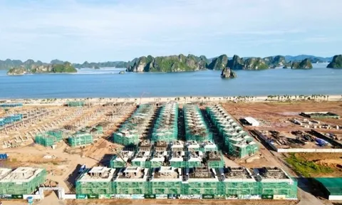 CEO Group: Tình hình kinh doanh khả quan nhưng các dự án từng vướng 'lùm xùm' có khả thi?