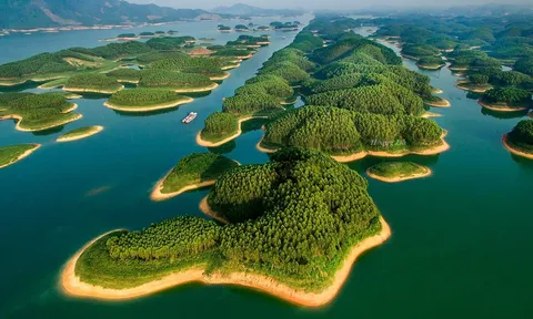 Yên Bái: Dự án nghìn tỷ của Tập đoàn Alphanam chậm tiến độ nhiều năm, có nguy cơ bị thu hồi?