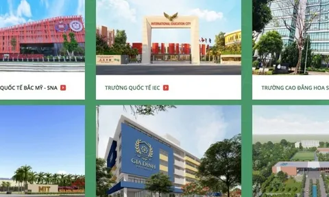 “Chây ì” triển khai dự án, Tập đoàn Nguyễn Hoàng bị tỉnh Bạc Liêu ra “tối hậu thư”