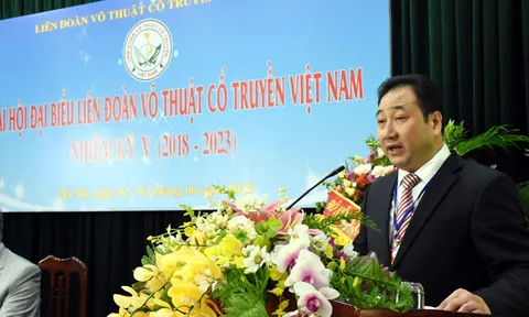 Phó Chủ tịch kiêm Tổng thư ký Liên đoàn Võ thuật cổ truyền Việt Nam bị tố trốn thuế