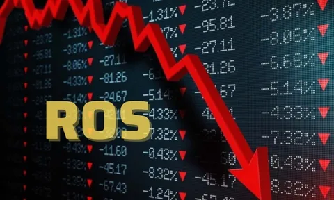 Vì sao cổ phiếu ROS bị hủy niêm yết bắt buộc trên HOSE?