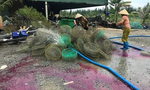 Khi doanh nghiệp lấn sân - Bài cuối: 'Ôm' tiền hỗ trợ làm dự án rồi... chuyển nhượng?