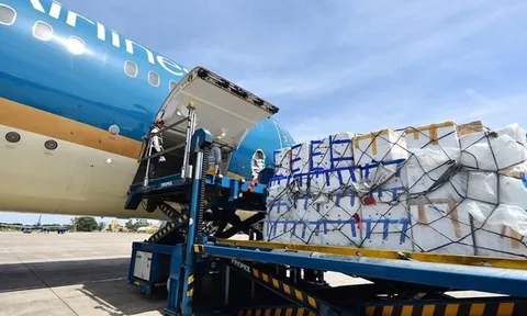 Cổ phiếu một công ty giao nhận hàng hóa bị cắt margin do vi phạm về thuế