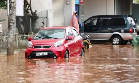'Nghẹt thở' vì bê tông, nhà kính nên hễ mưa to Đà Lạt lại ngập