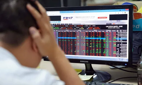 'Chết thảm' vì chơi chứng khoán, nhiều nhà đầu tư chưa thể hồi sinh