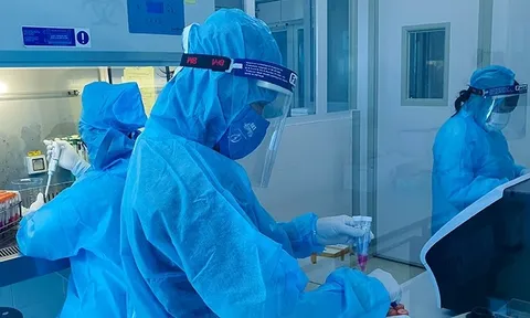 Biến thể nào đang chiếm ưu thế trong các ca Covid-19 ở miền Bắc?