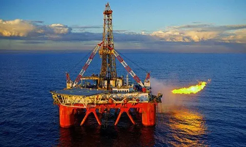 HOSE vừa hủy niêm yết, Công ty Kết cấu Kim loại và Lắp máy Dầu khí bị nghi ngờ về khả năng hoạt động