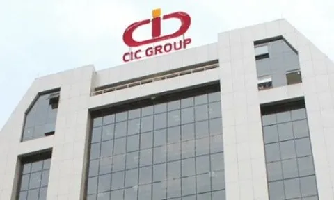 Rủi ro pha loãng khi CIC Group phát hành riêng lẻ hơn 13,4 triệu cổ phiếu