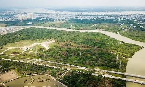 Điều tra làm rõ trách nhiệm của Tổng giám đốc Công ty Quốc Cường Gia Lai