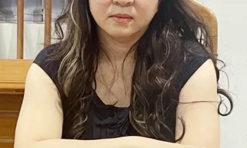 Bà Nguyễn Phương Hằng khai lý do xúc phạm nghệ sĩ, nhà báo