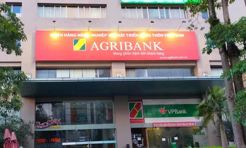 Agribank rao bán hàng nghìn m2 đất và biệt thự để xử lý nợ