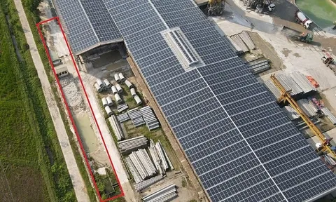 Hà Tĩnh: Nhà máy sản xuất bê tông của Công ty Viết Hải xả thải có dấu hiệu ô nhiễm môi trường