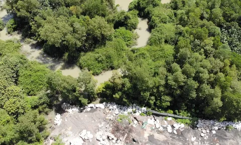 Vụ chôn lấp chất thải trái phép tại Bình Dương: Hé lộ hàng loạt sai phạm nghiêm trọng