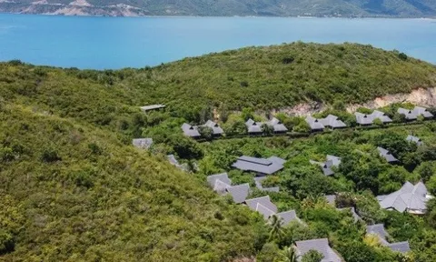 Công ty mẹ khu du lịch Hòn Tằm nợ nần chồng chất