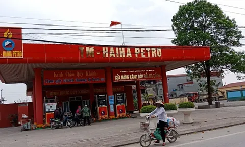 Âm vốn 1.664 tỷ đồng, 'đại gia' xăng dầu Hải Hà vẫn mang cho vay nghìn tỷ