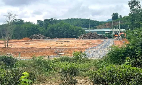 Công ty Dũng Giang 'hô biến' hàng chục nghìn m2 đất rừng thành các công trình trái phép