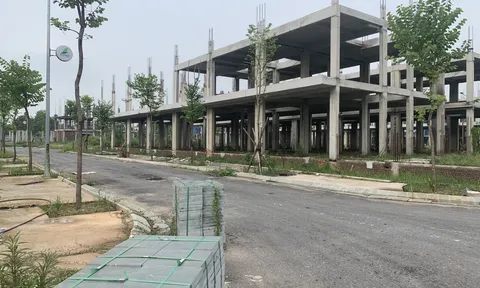 FLC bị tố cùng Đất Xanh Miền Bắc bán chui căn hộ chung cư không phép