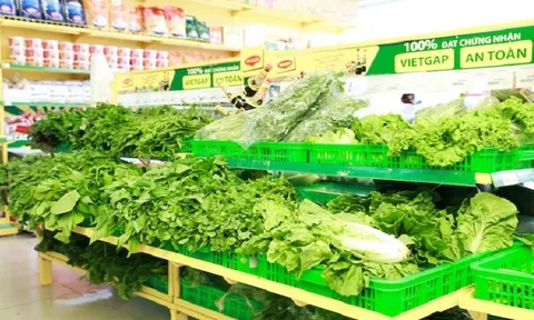 Rau chợ dán nhãn VietGAP vào siêu thị: 'Người tiêu dùng có thể tẩy chay'