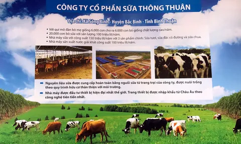 Thu hồi dự án 'trang trại kiểu mẫu' ở Bình Thuận vì đắp chiếu nhiều năm