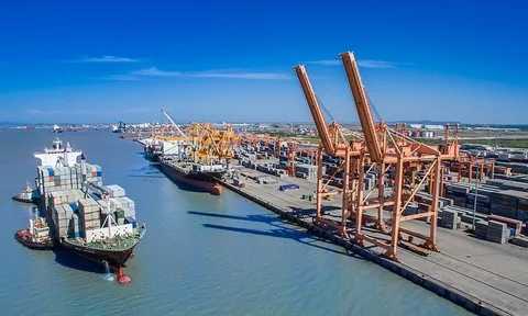 Vinalines báo lợi nhuận giảm 'khủng' 445 tỷ sau soát xét, kiểm toán lưu ý loạt vấn đề