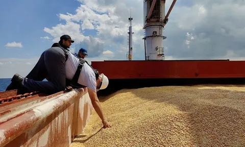 Sợ bị Nga chặn đường qua Biển Đen, Ukraine đề nghị EU hỗ trợ xây hành lang xuất khẩu khẩn cấp