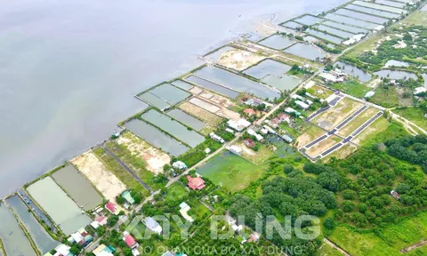 Cam Lâm (Khánh Hòa): Hủy hàng loạt quyết định chuyển mục đích sử dụng đất sau Kết luận Kiểm tra về phân lô bán nền