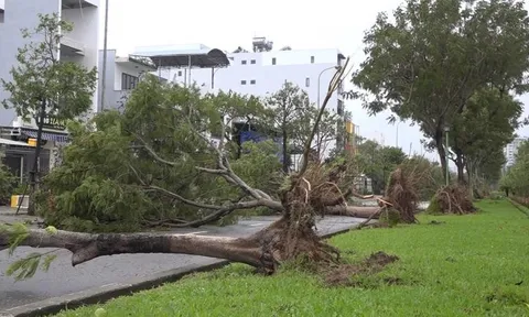 Tin mới nhất về bão Noru (bão số 4): Thiệt hại về tài sản của người dân Đà Nẵng giảm đến mức thấp nhất