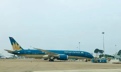 Bão Noru suy yếu, hàng không khôi phục nhiều đường bay