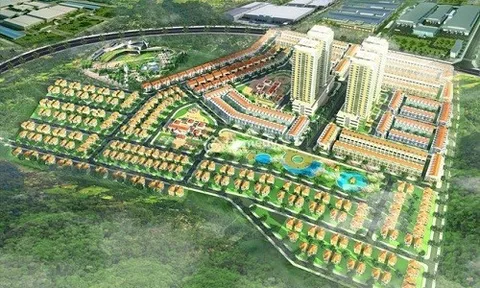 Chủ đầu tư dự án Khu nhà ở Sadaco bị đình chỉ kinh doanh bất động sản 6 tháng