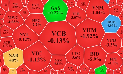 'Tội đồ' nào khiến VN-Index thủng đáy?