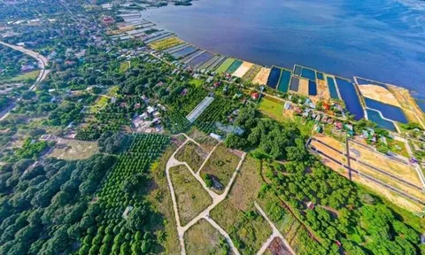 Cam Lâm: Liên tiếp hủy các quyết định chuyển mục đích sử dụng đất với tổng diện tích 8.200m2