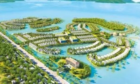 Bình Định: Một doanh nghiệp nợ hơn 411 tỷ đồng tiền thuê đất