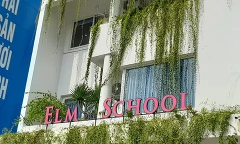 Điều tra thông tin học sinh bị bỏ đói, bạo hành ở nhóm trẻ Elm School
