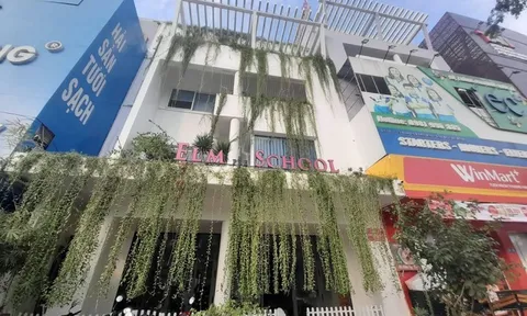 Vụ Elm School: Phụ huynh sốc vì đóng 7 triệu đồng/tháng mà con không được ăn no