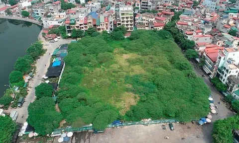 Điểm mặt những dự án "ôm đất vàng" giữa Thủ đô để hoang, cỏ mọc um tùm