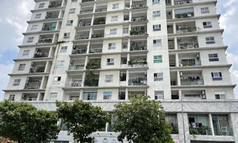 TP HCM: Rà soát tất cả vi phạm tại các chung cư của Công ty Khang Gia