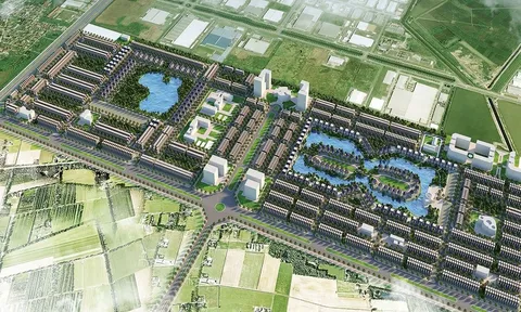 Cảnh ruộng hoang và chăn nuôi trâu bò trong New City Phố Nối