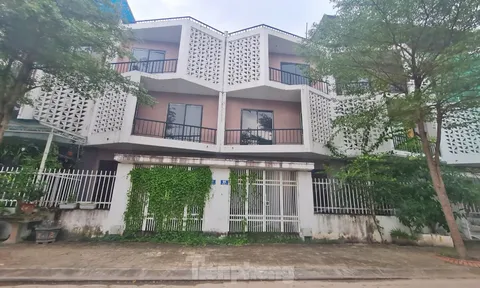 KĐT mới Nam đường 32 bỏ hoang, dân trồng rau trên móng nhà liền kề tiền tỷ