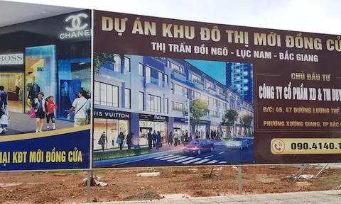 Phát hiện sai phạm kinh tế sau kết luận của Thanh tra Chính phủ: Cần chuyển cơ quan điều tra làm rõ!