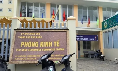Chuyển cơ quan điều tra vụ sai phạm tại Trung tâm dịch vụ và chuyển giao kỹ thuật nông nghiệp Phú Quốc