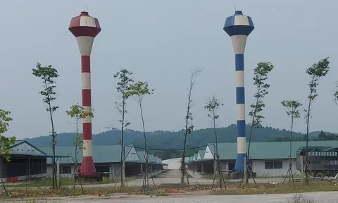 Trại lợn 'khủng' ở Nghệ An bị xử phạt 320 triệu đồng vì không có giấy phép môi trường