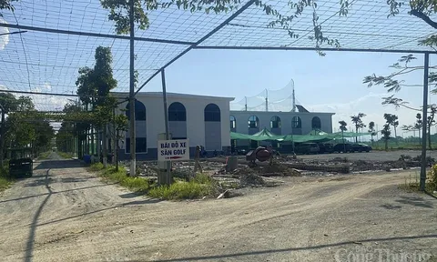 Loạt sai phạm tại Dự án nuôi cá rô phi Israel công nghệ cao của Công ty cổ phần Synot Asean