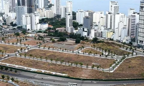 Tập đoàn Phúc Sơn vẫn chưa nộp 12.000 tỉ đồng nghĩa vụ tài chính