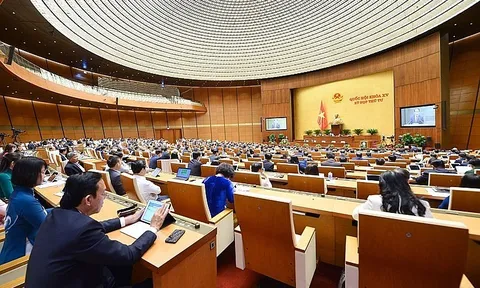 Đấu giá biển số ô tô: Đề xuất thống nhất mức giá khởi điểm 40 triệu đồng