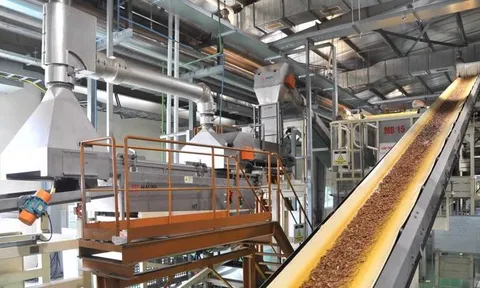 Thanh tra Chính phủ kiến nghị thu hồi trên 30 nghìn m2 đất do Vinataba chuyển nhượng trái phép