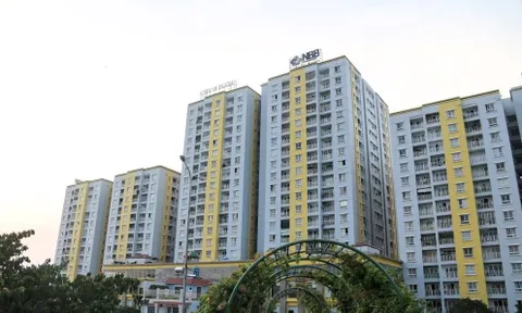 Nghịch lý tại Năm Bảy Bảy: Doanh thu tăng vọt, lợi nhuận giảm sâu