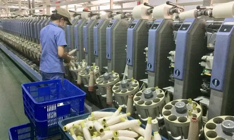 Đức Quân (FTM) lỗ 15 quý liên tiếp nâng lỗ lũy kế lên 511 tỷ đồng