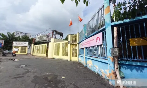 Lãng phí đất công tại Tp.HCM - Bài 2: Đất công “khủng”…. cho thuê